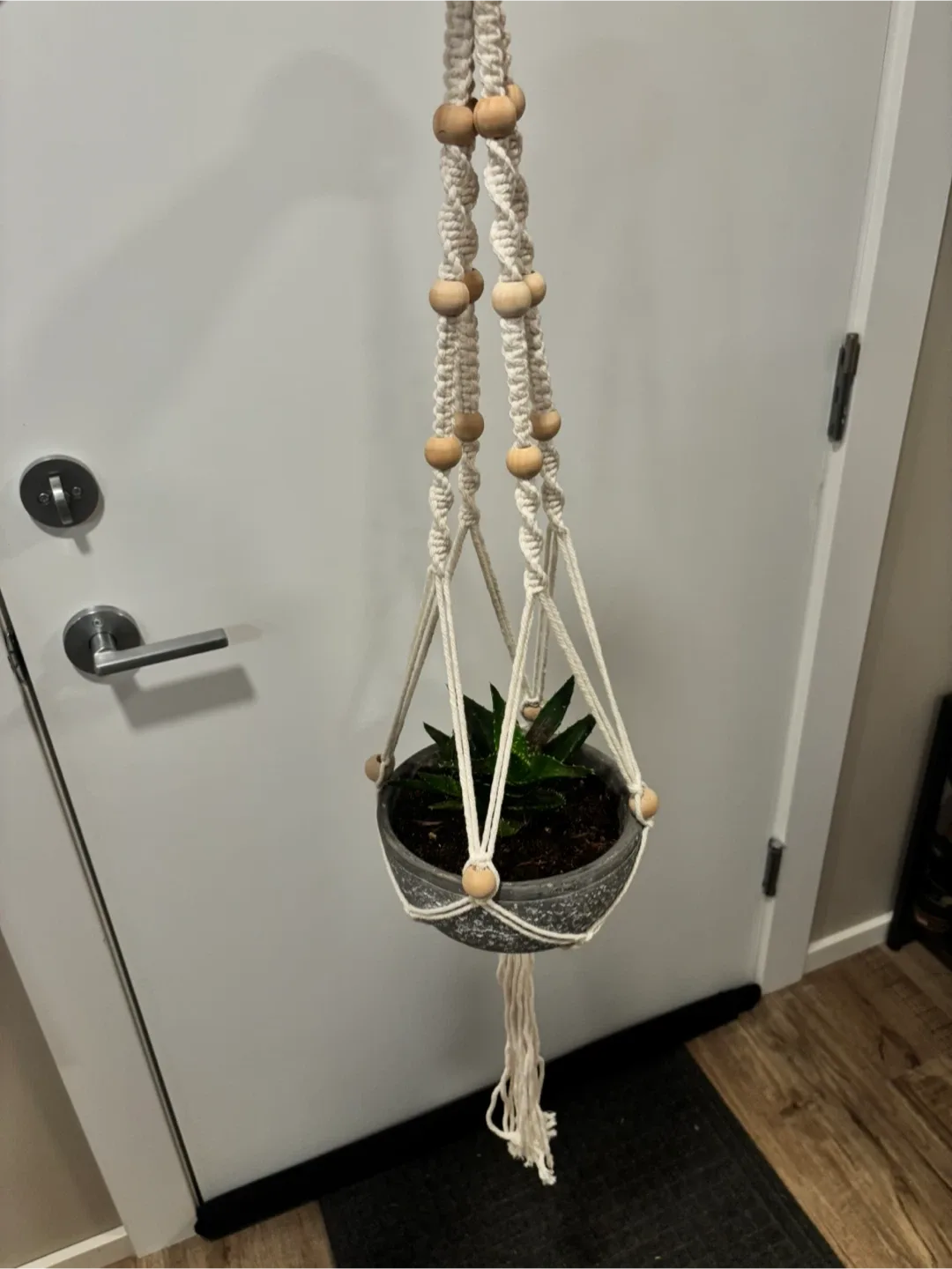 Plant hangers image indicator(3)