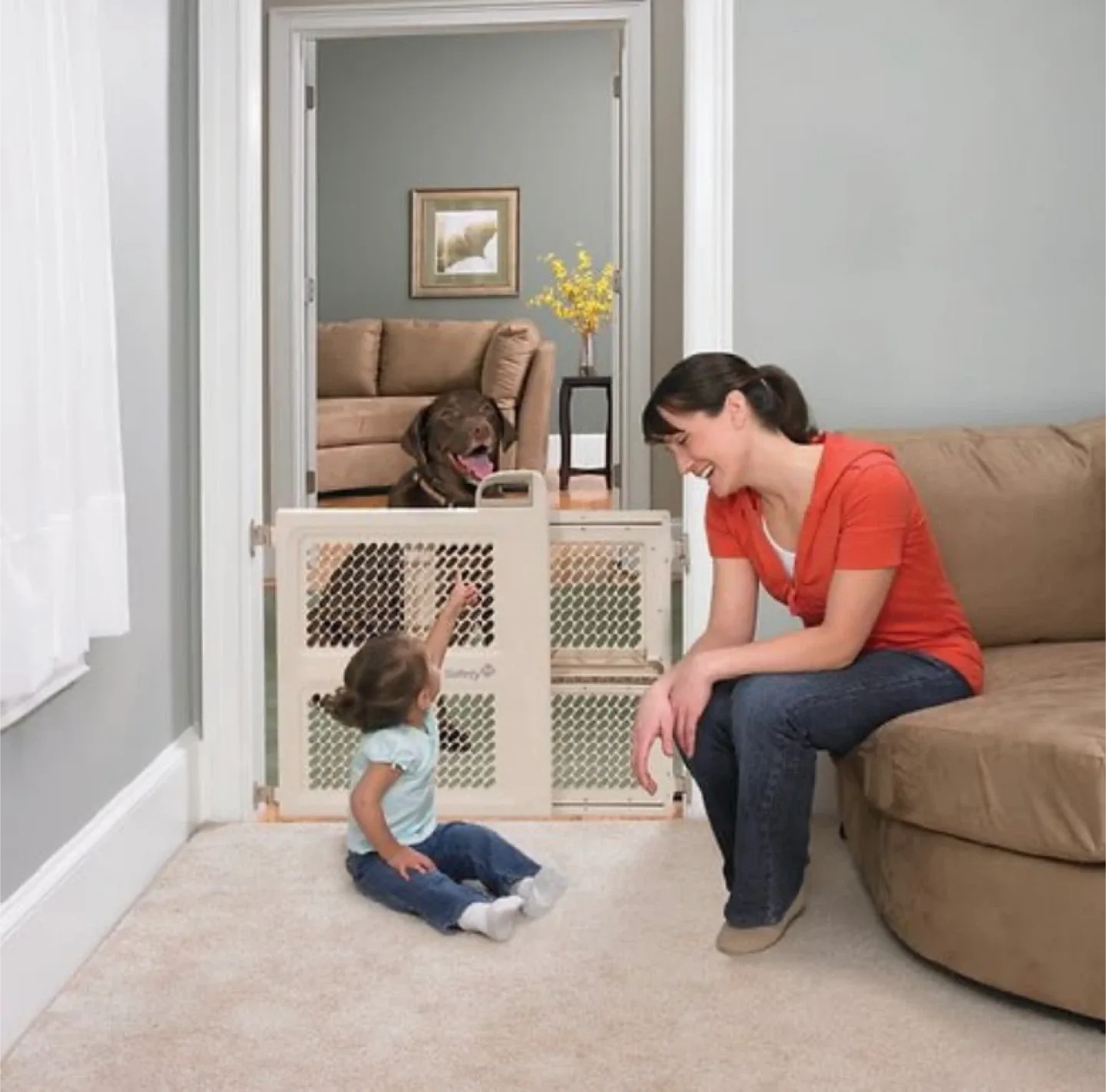 Safety 1st Lift, Lock & Swing Dual Mode Safety Gate image indicator(2)