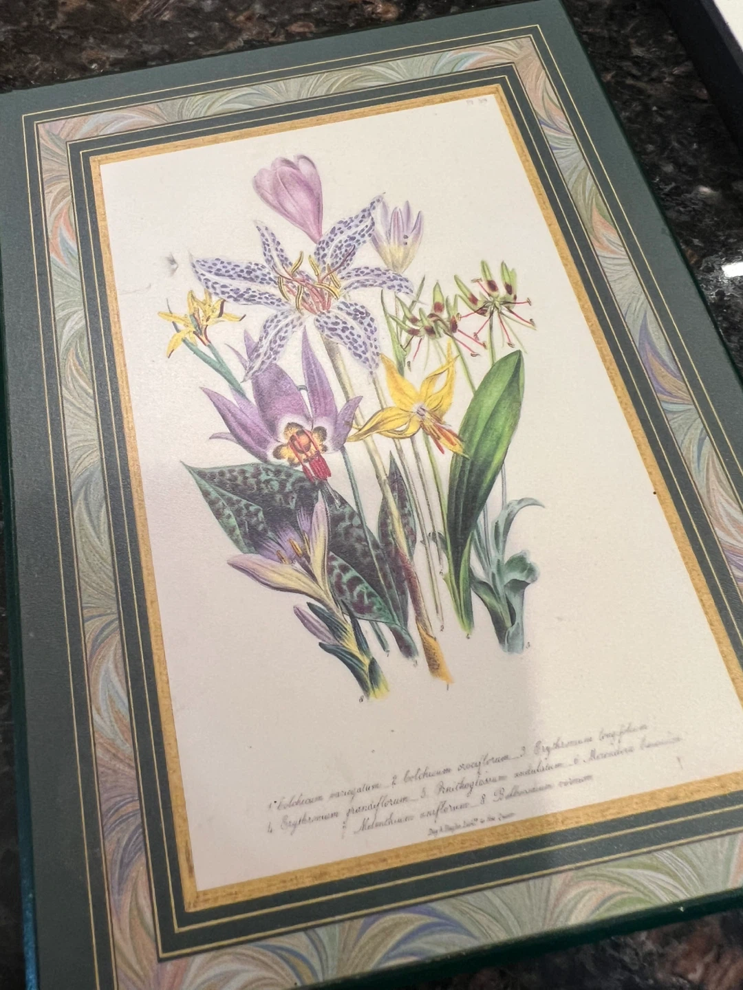 Vintage Floral Art - photo 3