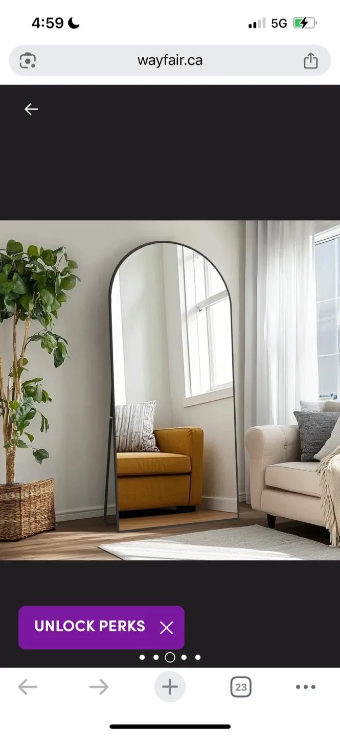 New Wayfair Arched Floor Mirror - Black Frame image indicator(4)