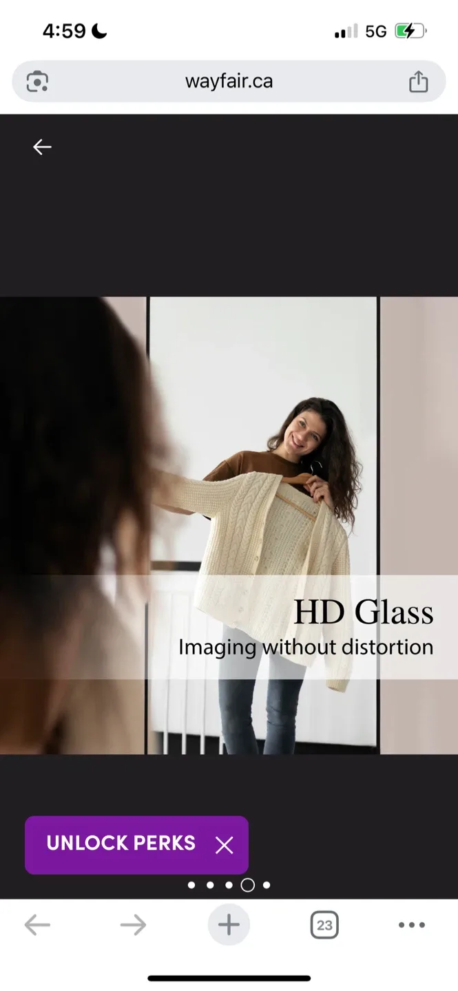 New Wayfair Arched Floor Mirror - Black Frame image indicator(6)