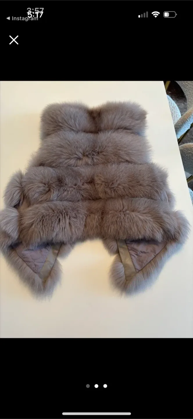 Fur Vest - Grey image indicator(2)