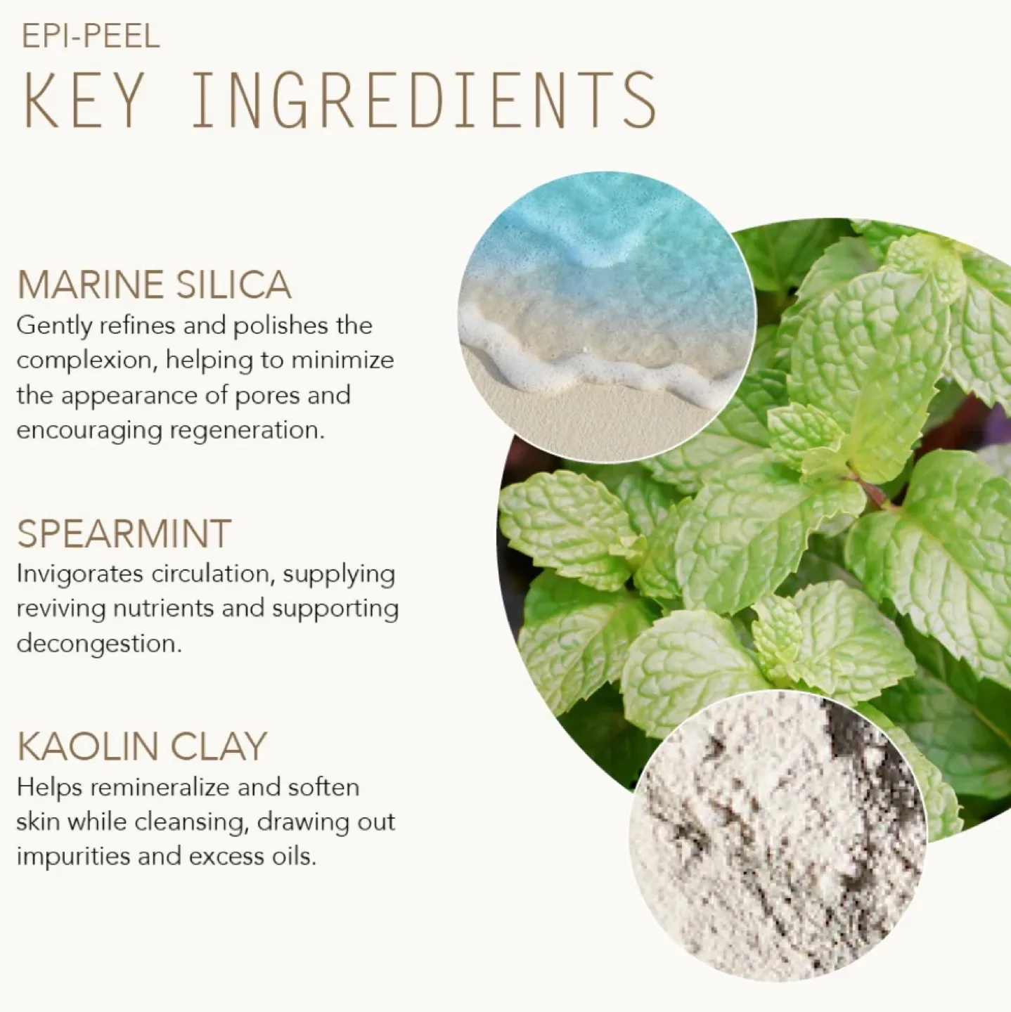 Tammy Fender Holistic Skin Care Epi-Peel 2.3oz image indicator(3)