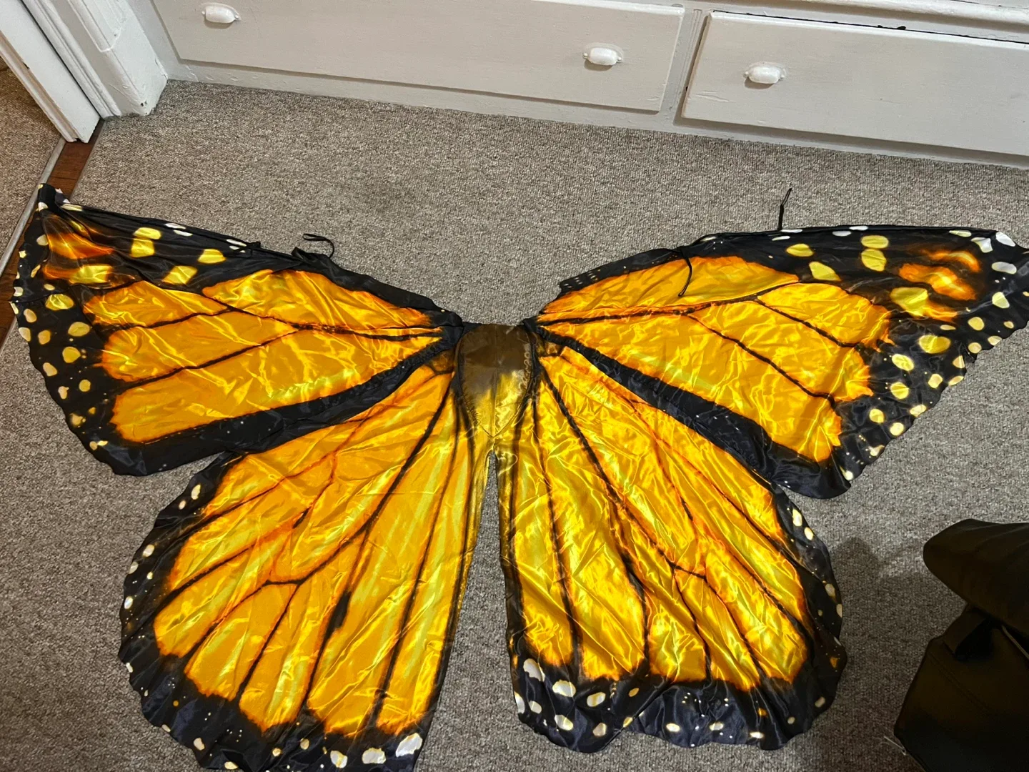 Butterfly Wings Costume thumbnail