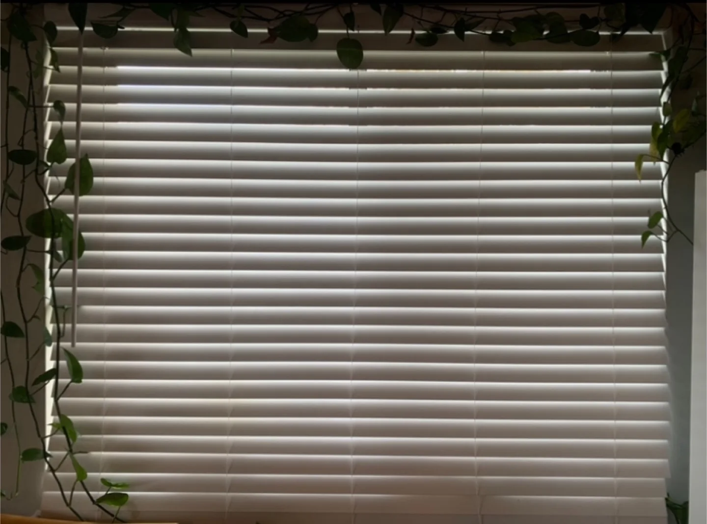 Bouclair Tilt-only FW Blind image indicator(2)