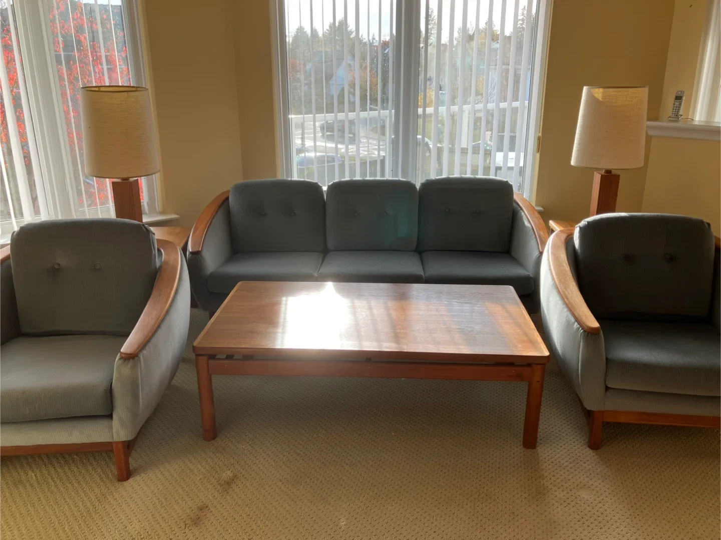 Vintage Mid-Century Modern Sofa, Chairs & Coffee Table Set