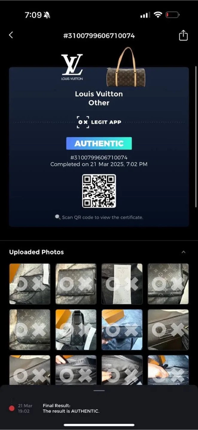 Louis Vuitton Other Bag image indicator(4)