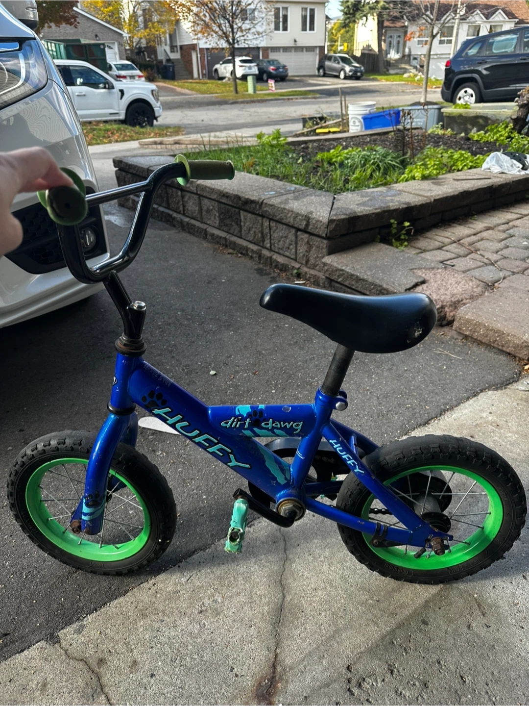 Huffy Dirt Dawg Kids' Bike - Blue and Green