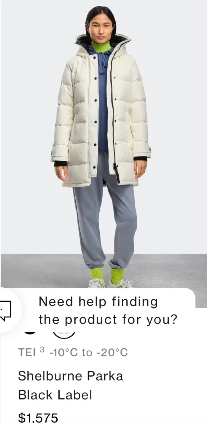 Selling Canada Goose Shelburne White - photo 2