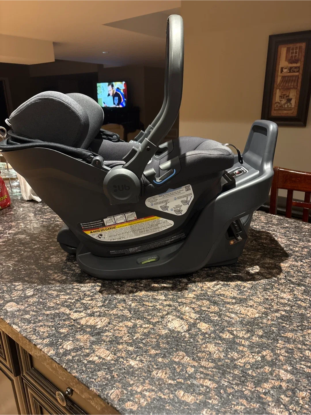 UPPAbaby Aria Infant Car Seat image indicator(4)
