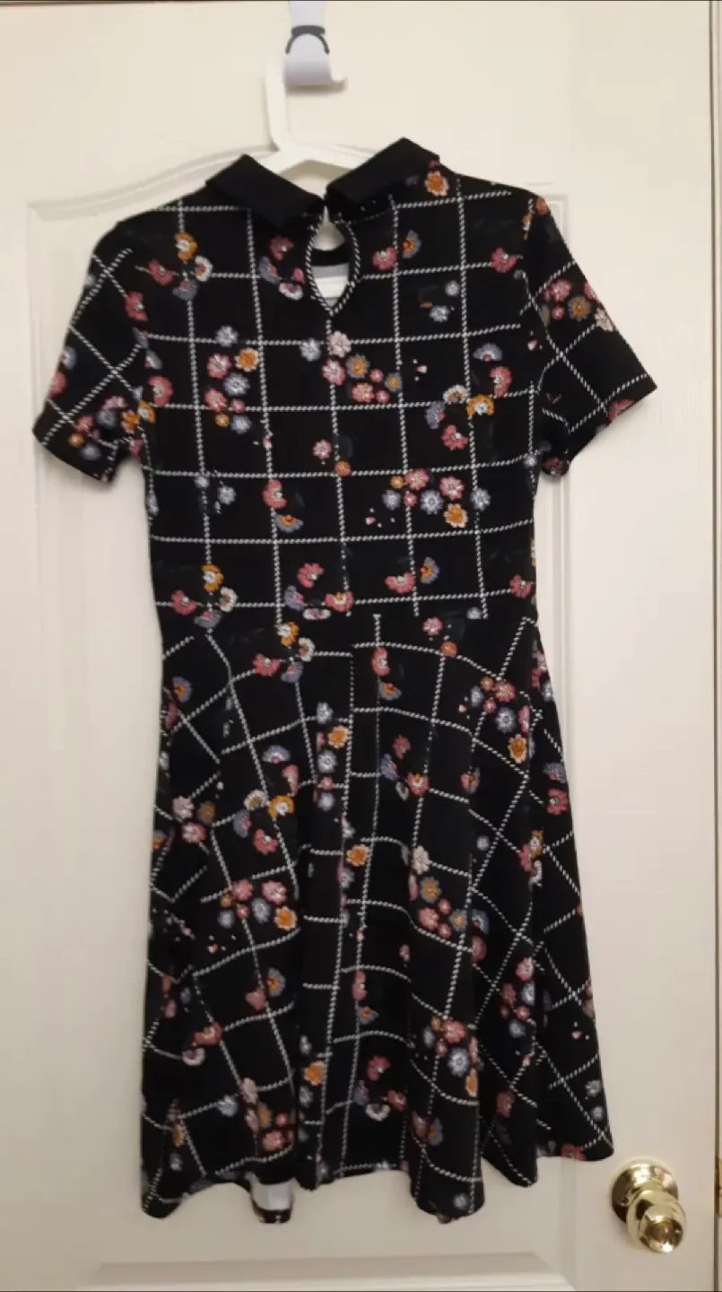 Women's Dress with Collar UNWORN image indicator(2)