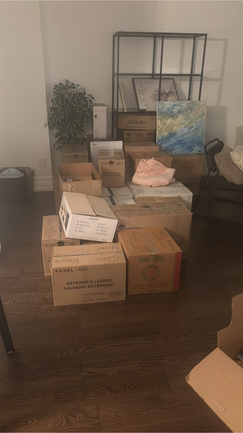 Moving Boxes for free