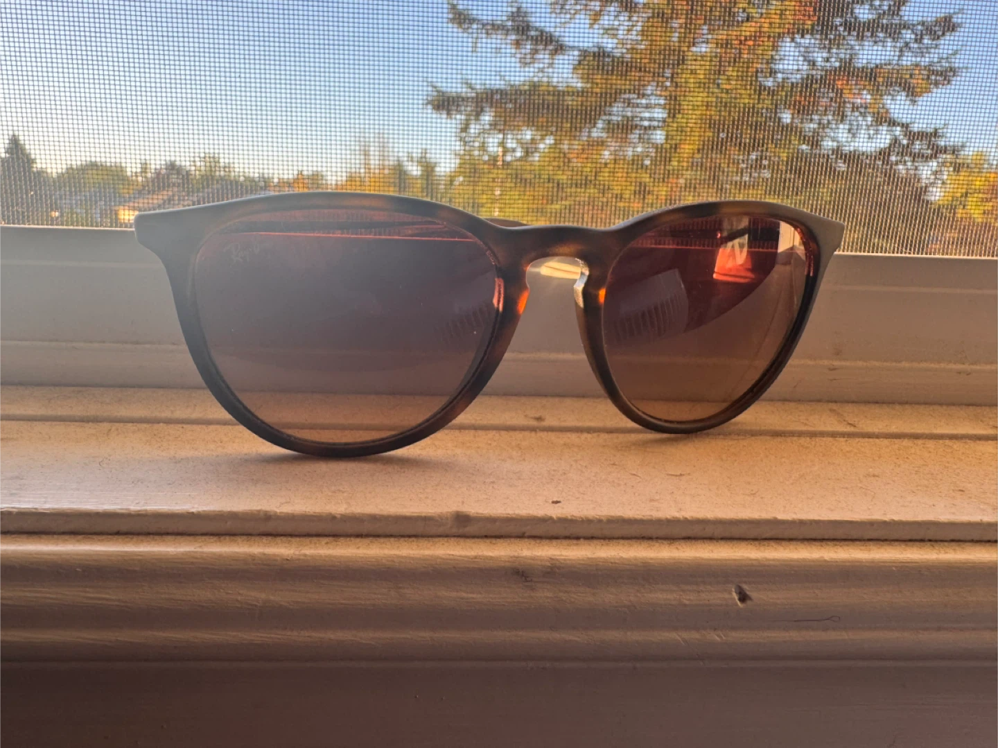 Ray-Ban Erika RB4171 865/13 Sunglasses