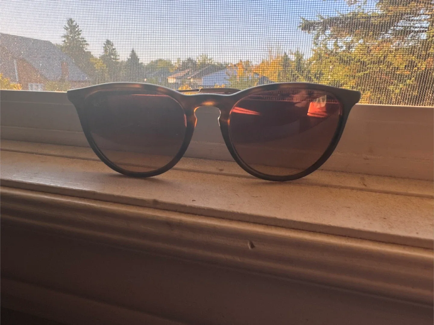 Ray-Ban Erika RB4171 865/13 Sunglasses image indicator(2)