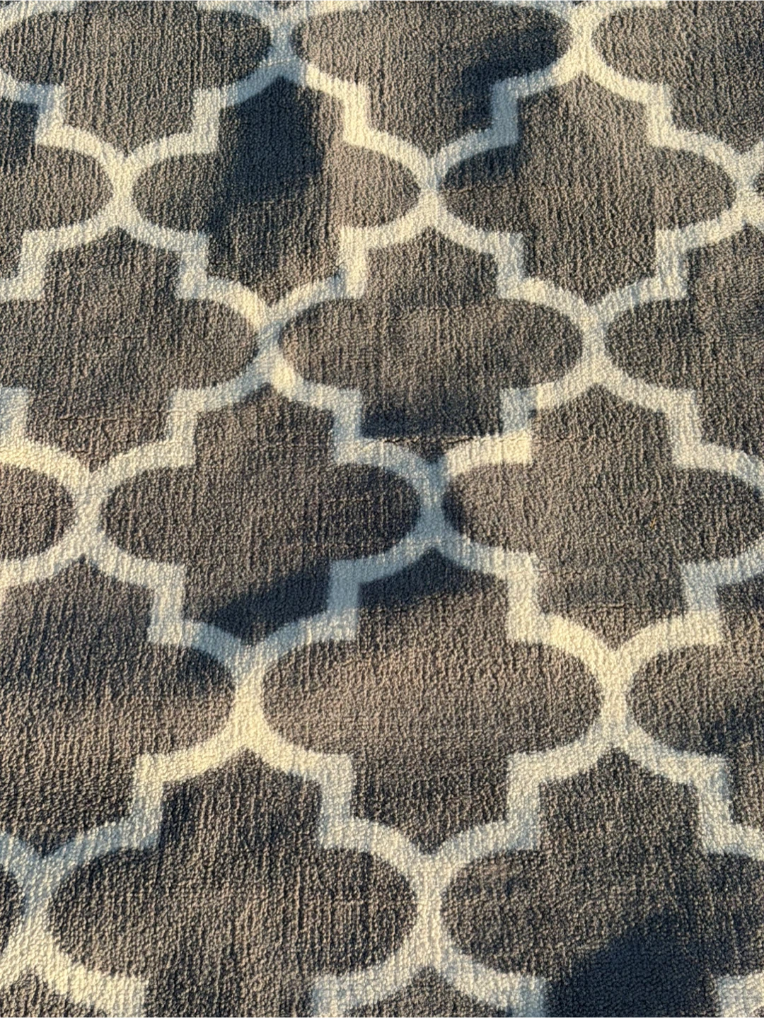 Gray & White Patterned Area Rug