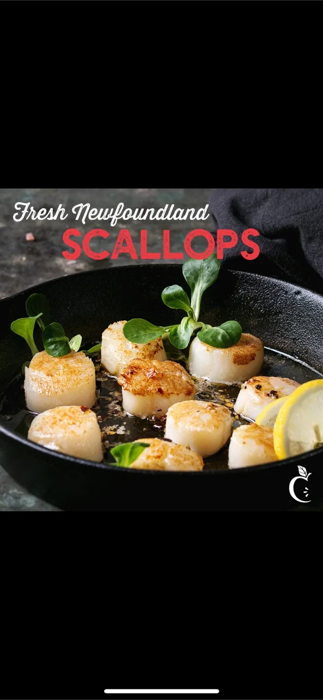 Newfoundland Seafood image indicator(6)