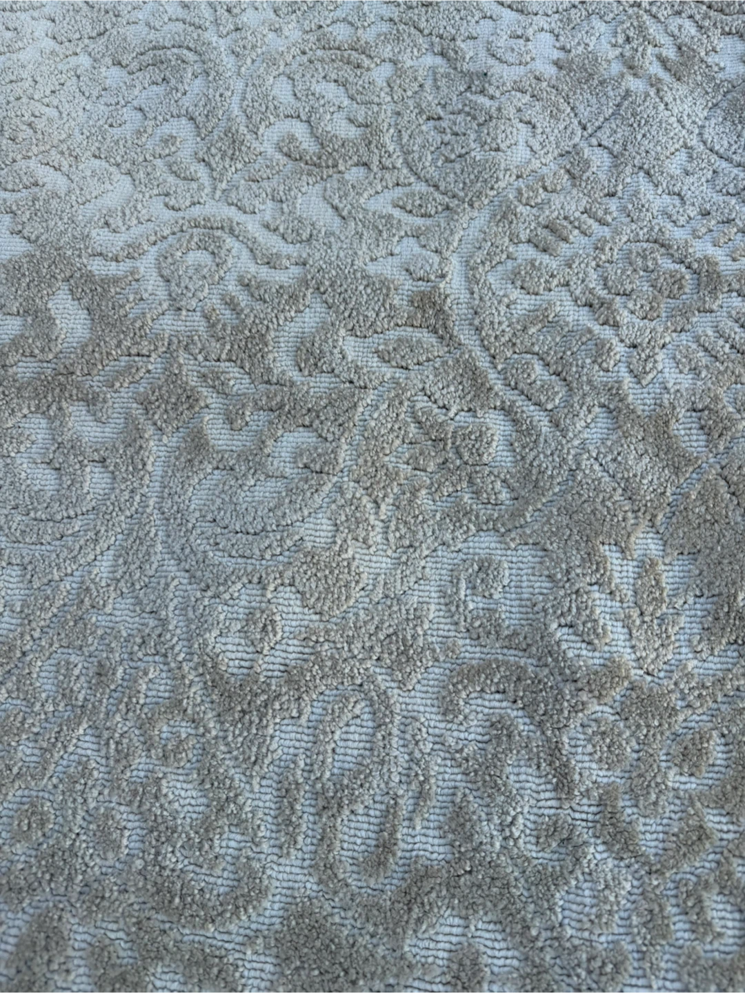 Neutral Patterned Area Rug
