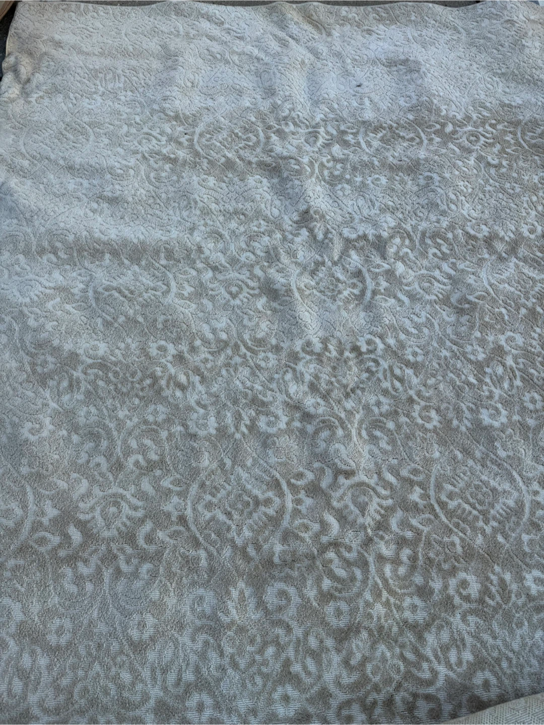 Neutral Patterned Area Rug - photo 2