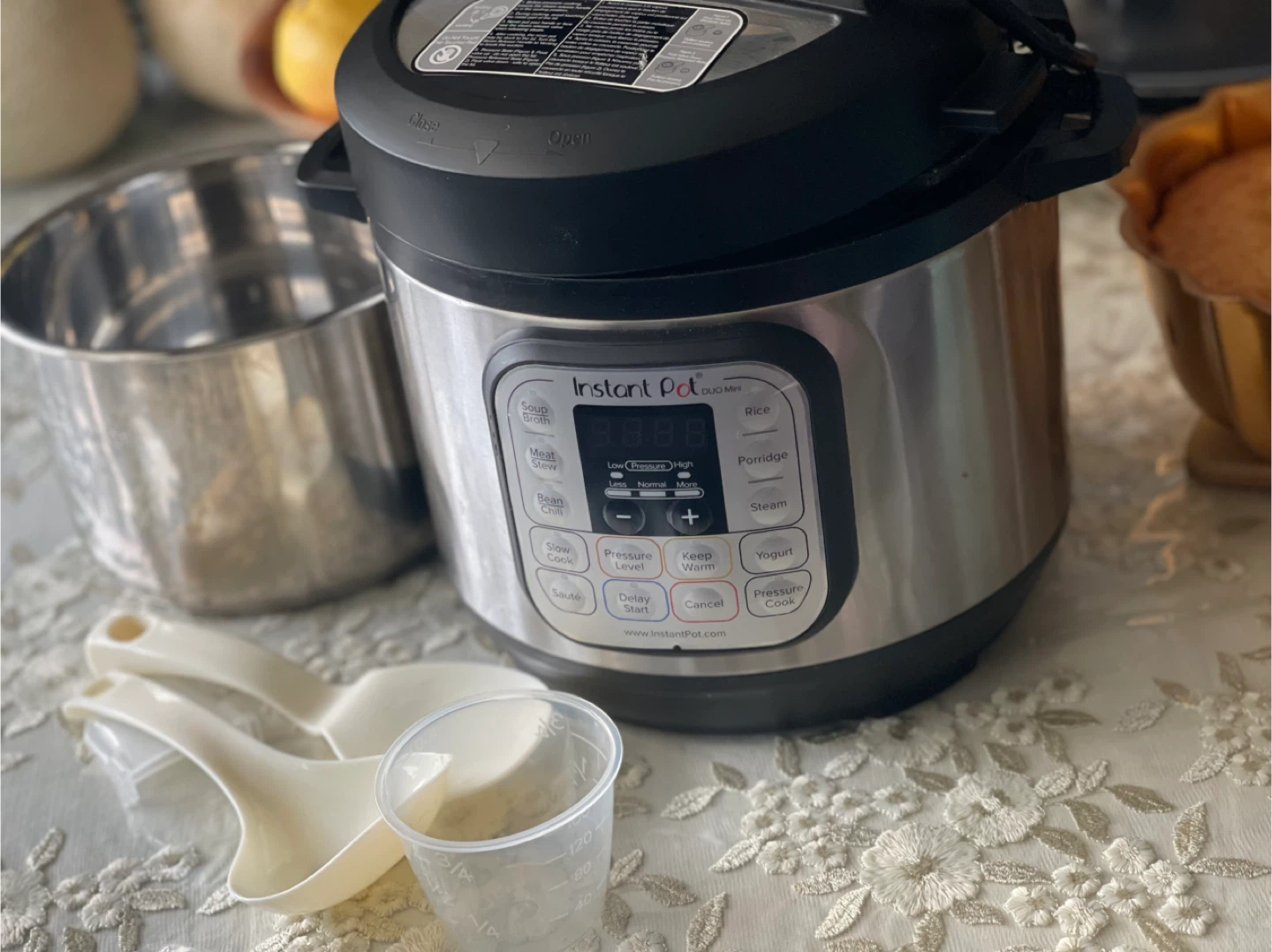 Instant Pot Duo Mini