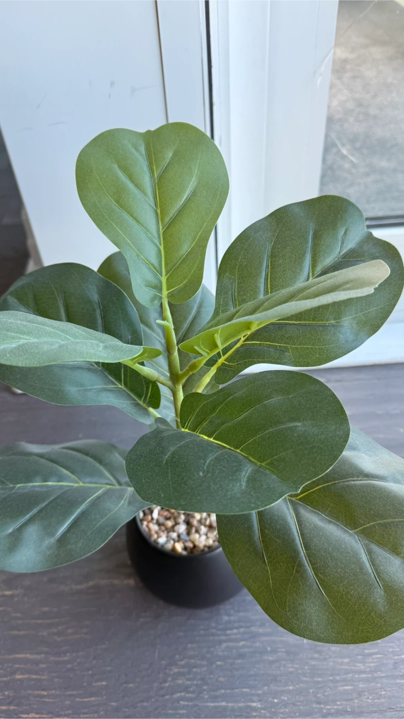 Faux Fiddle Leaf Fig Plant - 18 inches - photo 2