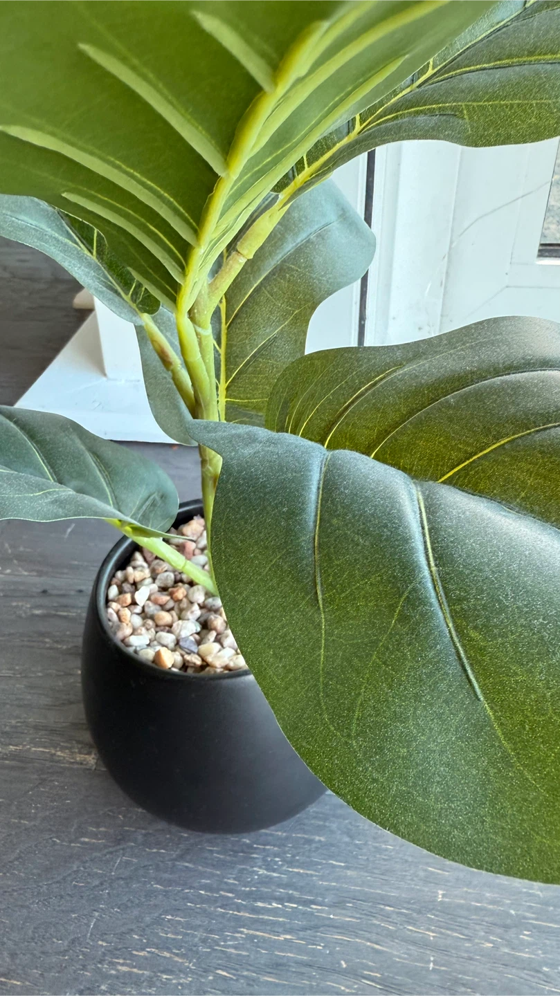 Faux Fiddle Leaf Fig Plant - 18 inches - photo 4