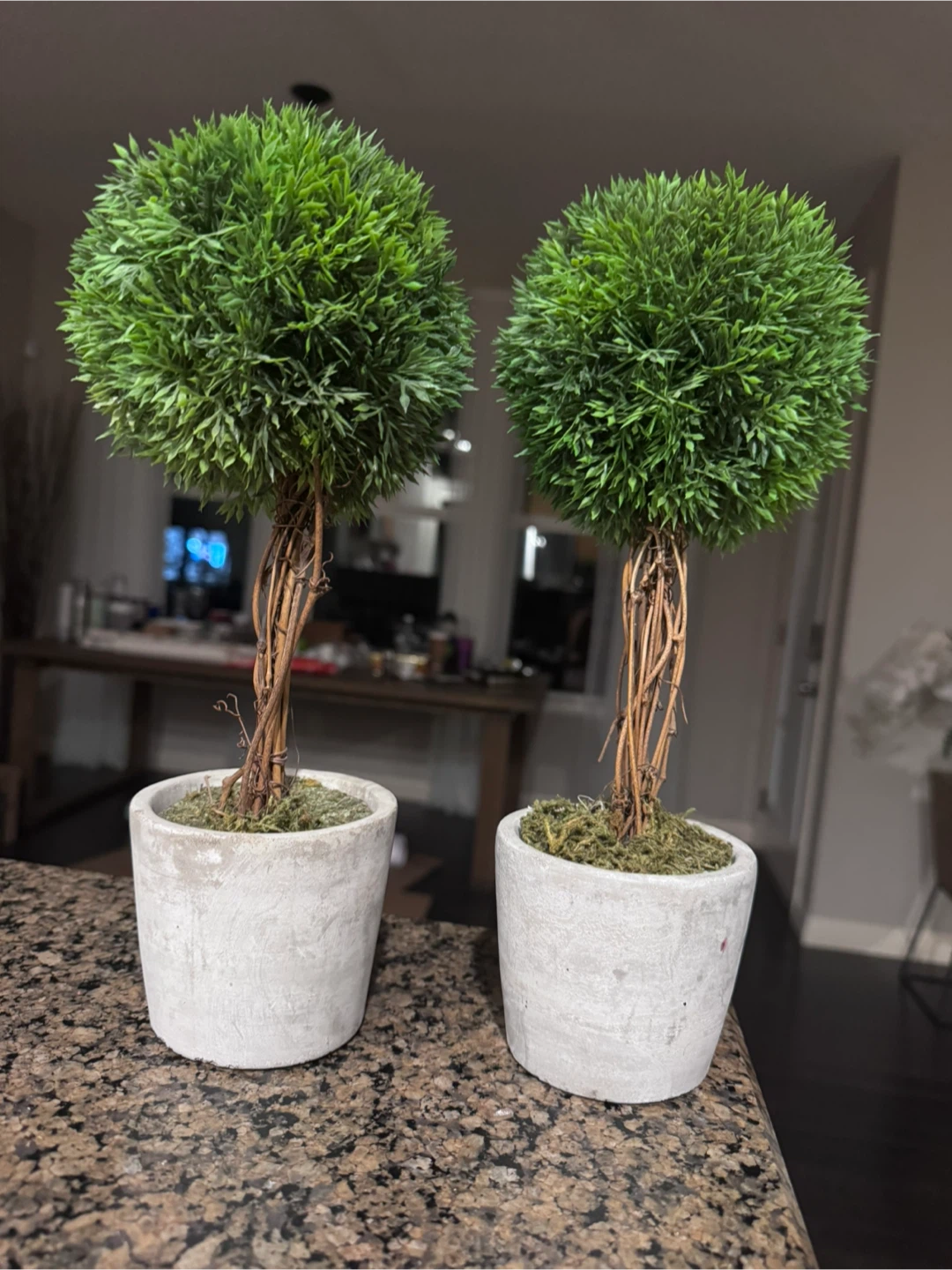 Artificial Topiary Trees in Pots