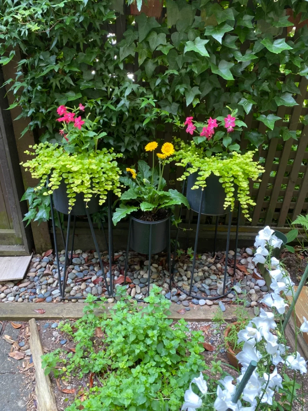 3 Plant Stands thumbnail