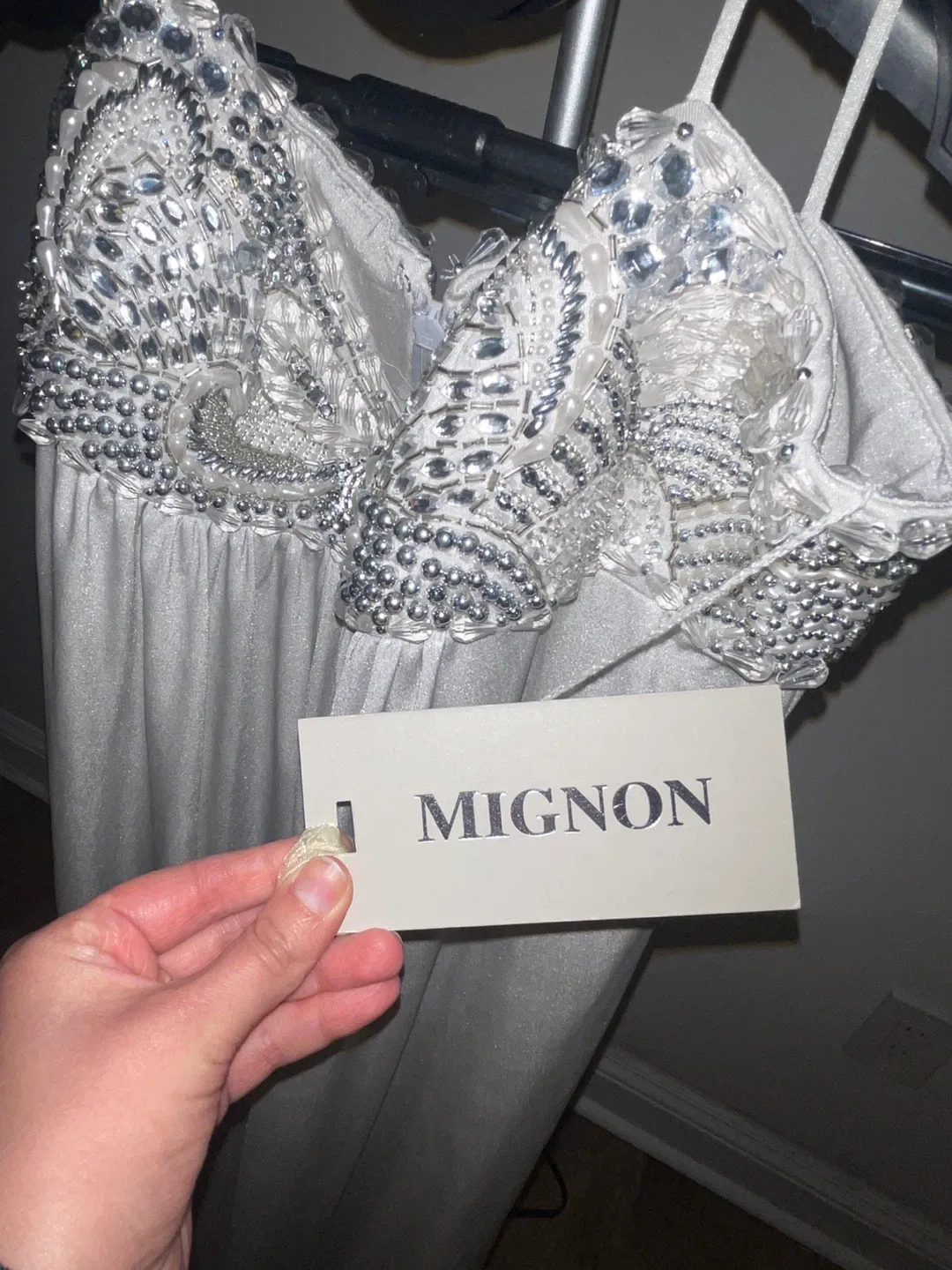 Mignon Ivory/Silver Embellished Beaded Jewel Gown size 10 image indicator(5)