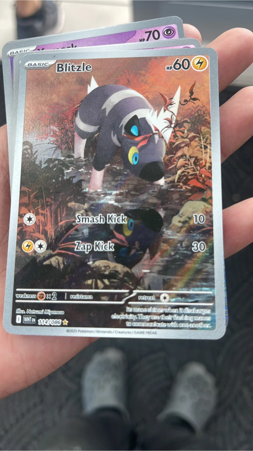 Blitzle Pokémon Card