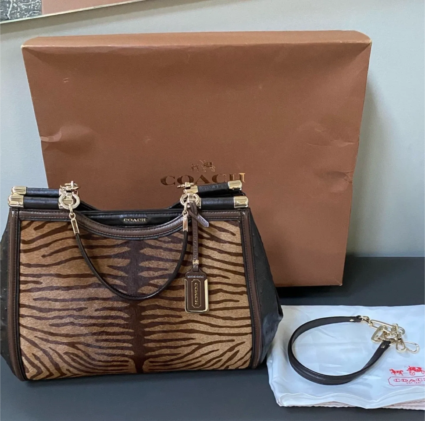 Coach Handbag - Brown image indicator(8)