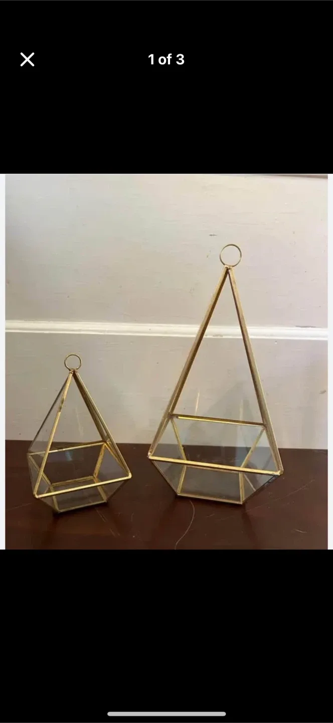 22 big plus 2 small Geometric Terrarium Set - Gold Trim