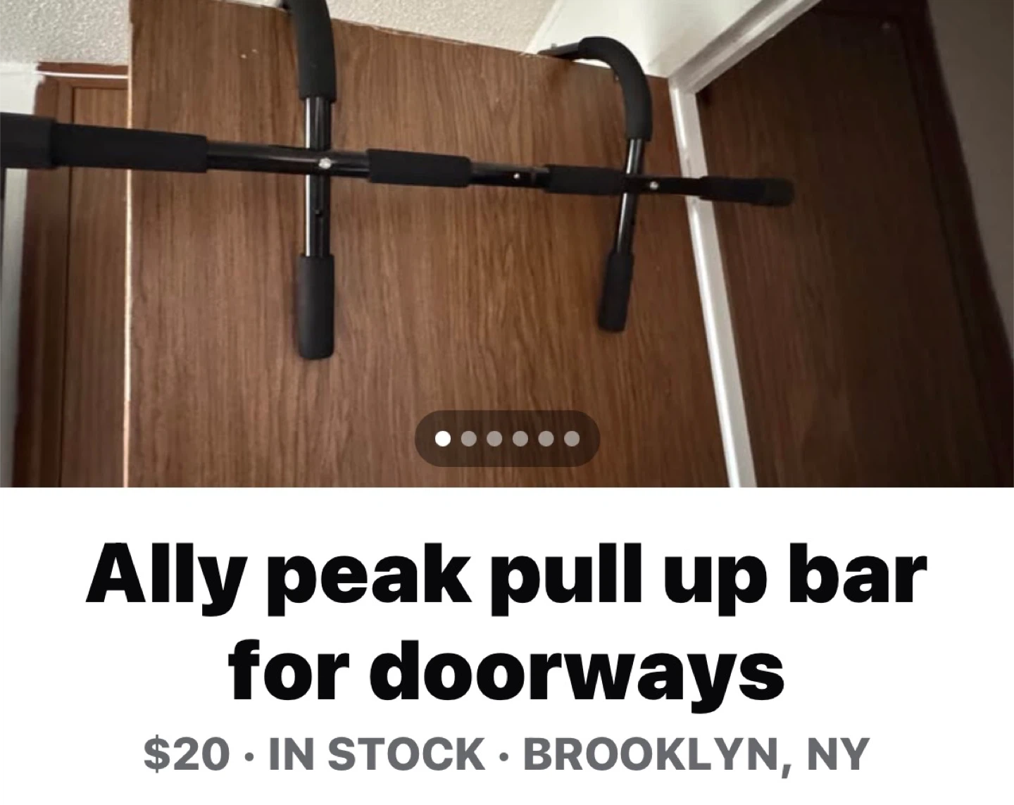 Ally Peaks Pull Up Bar for Doorways