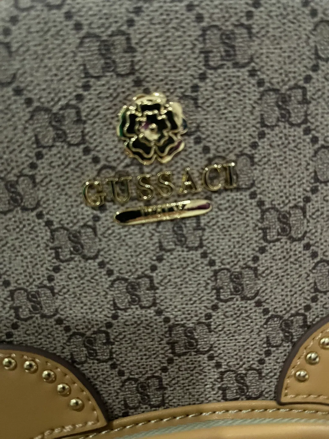 Brand new with tag Gussaci Backpack image indicator(3)