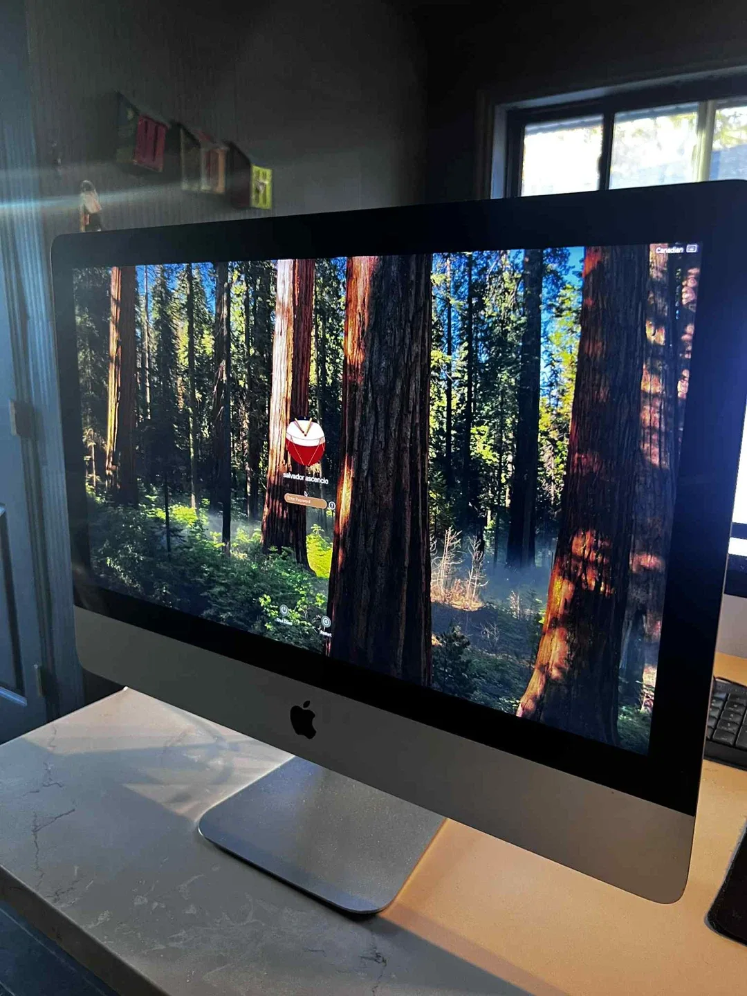 Apple iMac 21.5 🥕 image indicator(2)