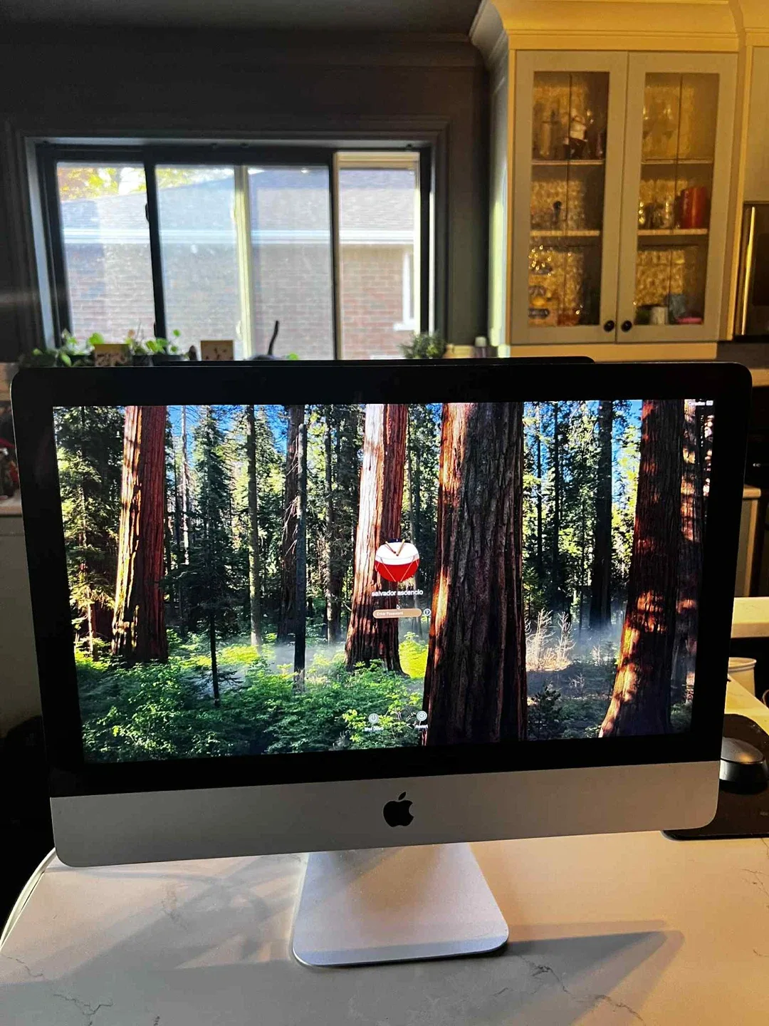 Apple iMac 21.5 🥕 image indicator(3)
