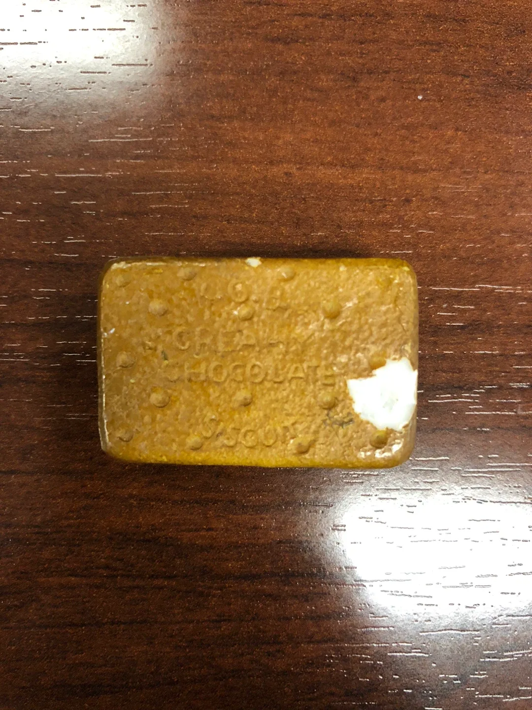 Chocolate sandwich magnet souvenir