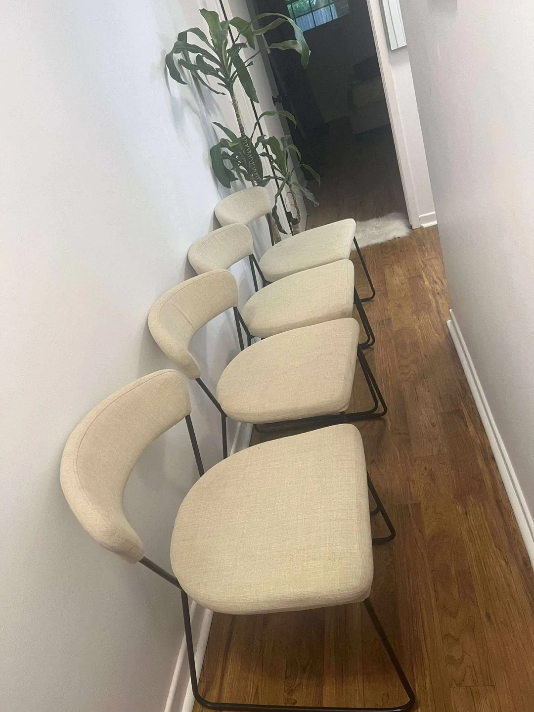 Set of 4 Modern Dining Chairs