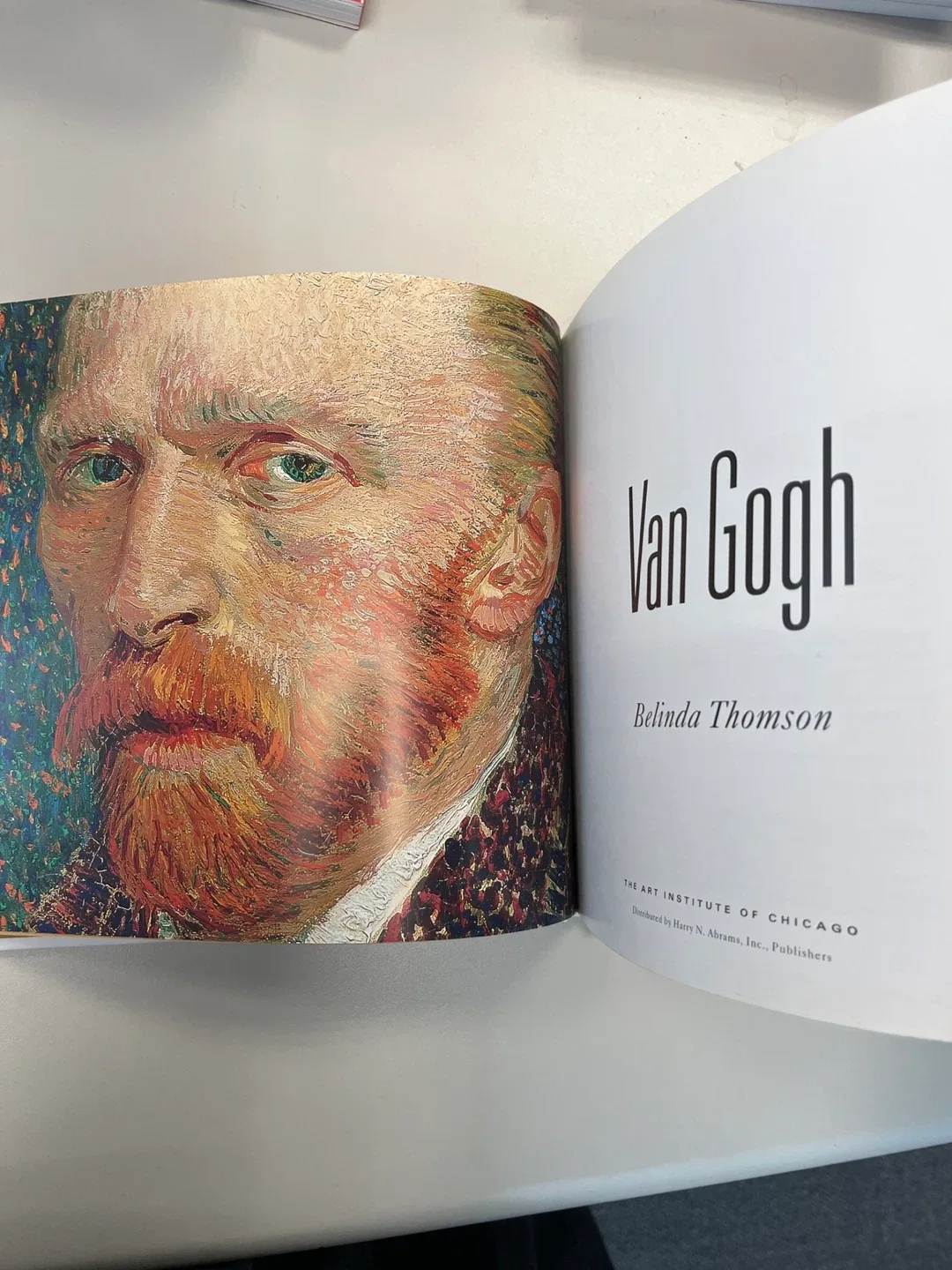 Van Gogh: Artists in Focus by Belinda Thomson image indicator(2)