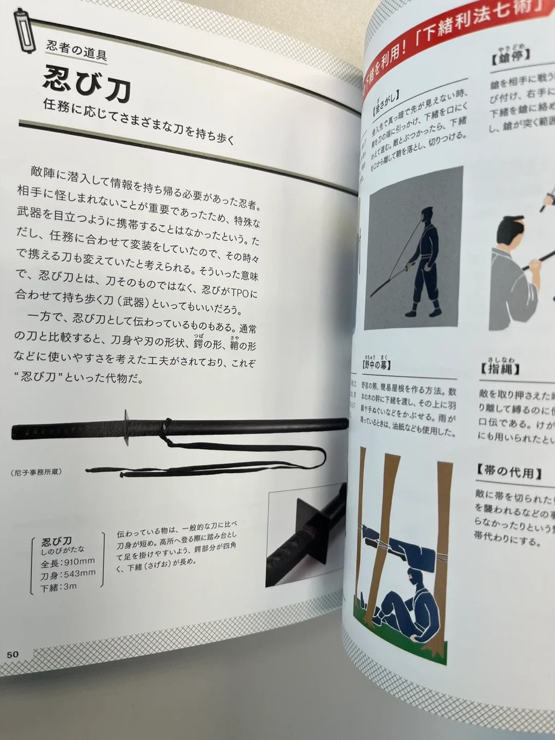 The Ninja: Who Were They? Official Book image indicator(5)