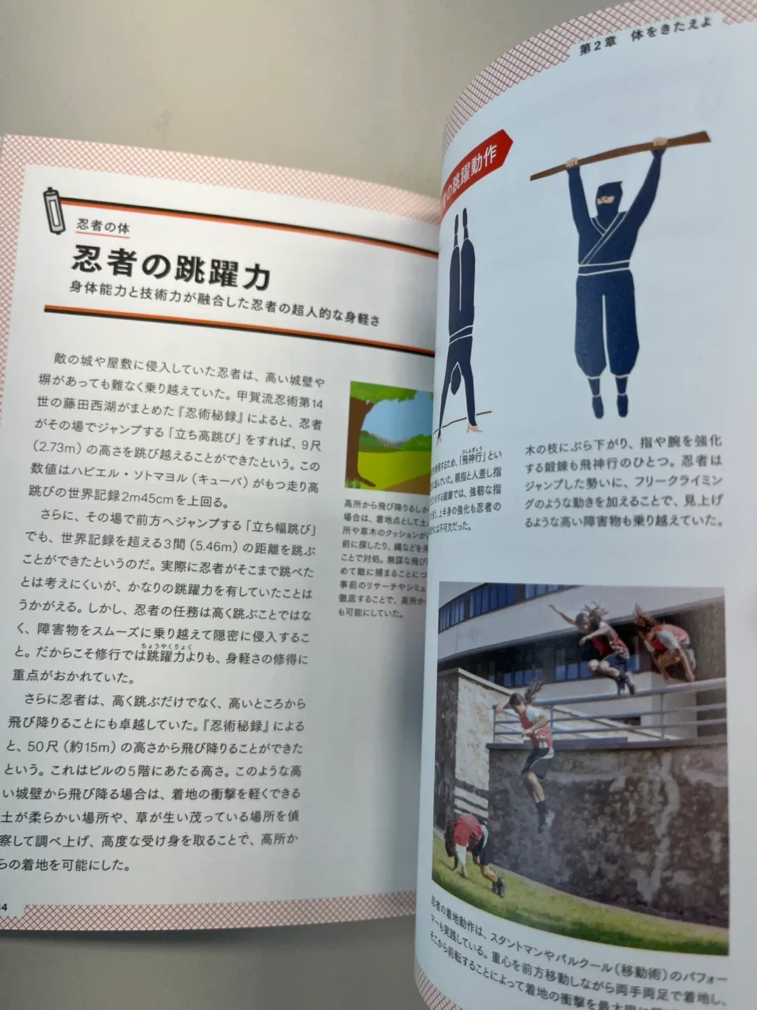 The Ninja: Who Were They? Official Book image indicator(2)