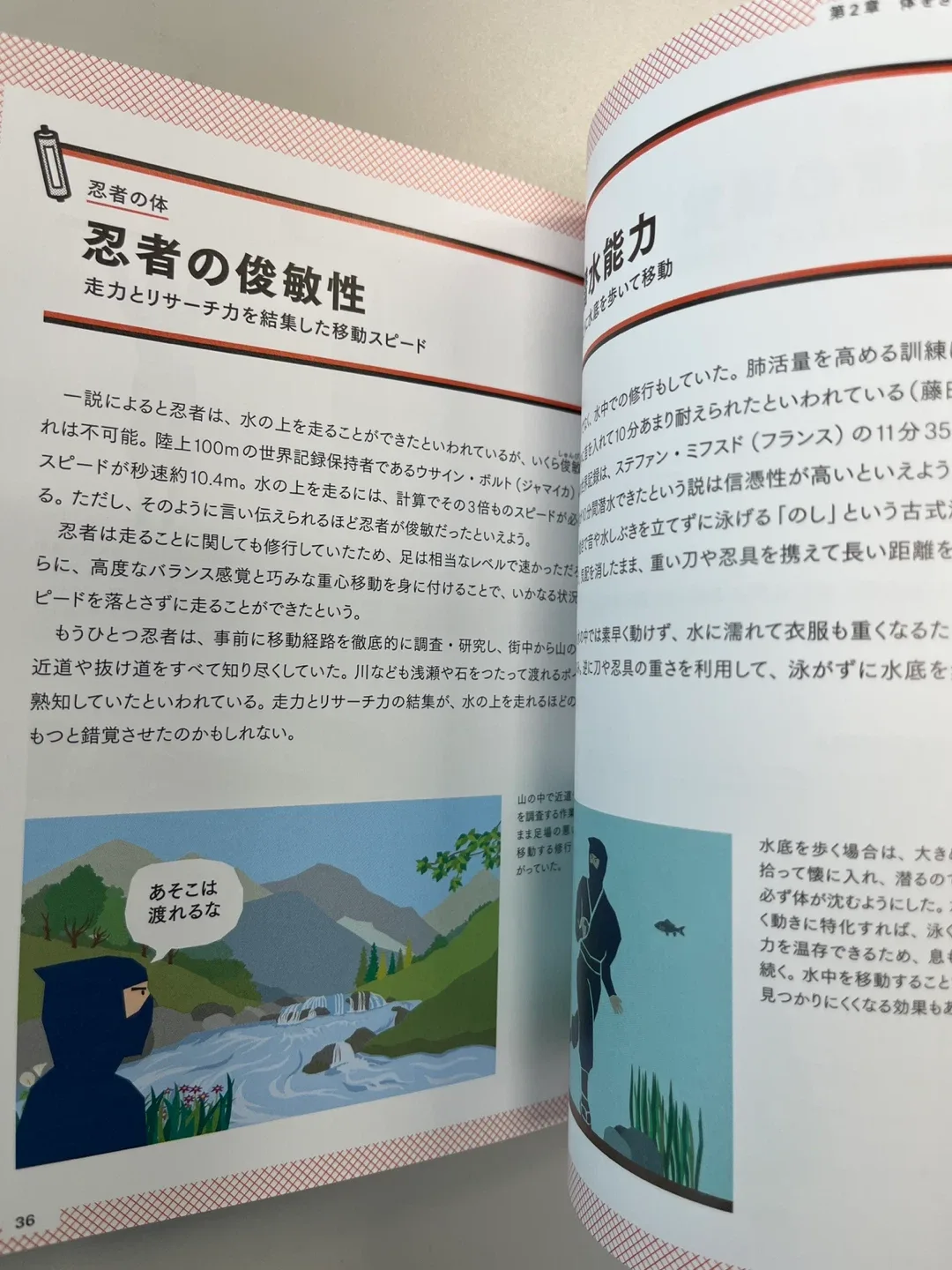 The Ninja: Who Were They? Official Book image indicator(3)