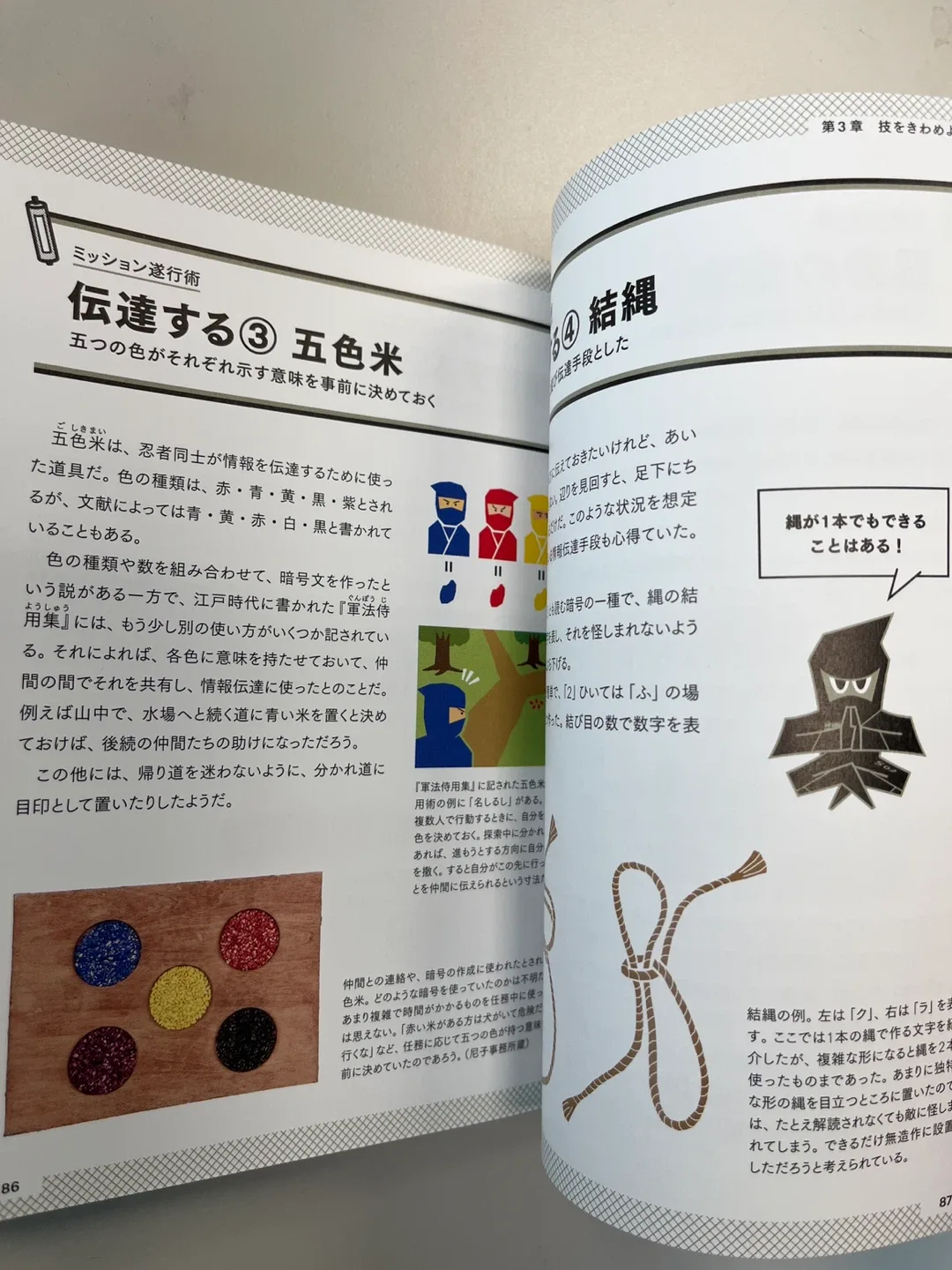 The Ninja: Who Were They? Official Book image indicator(10)