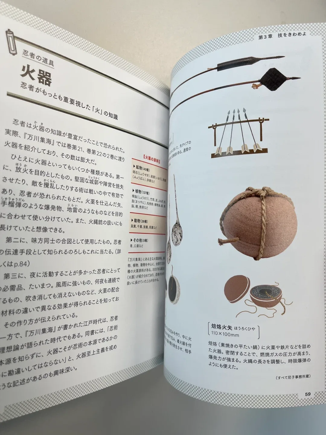 The Ninja: Who Were They? Official Book image indicator(8)