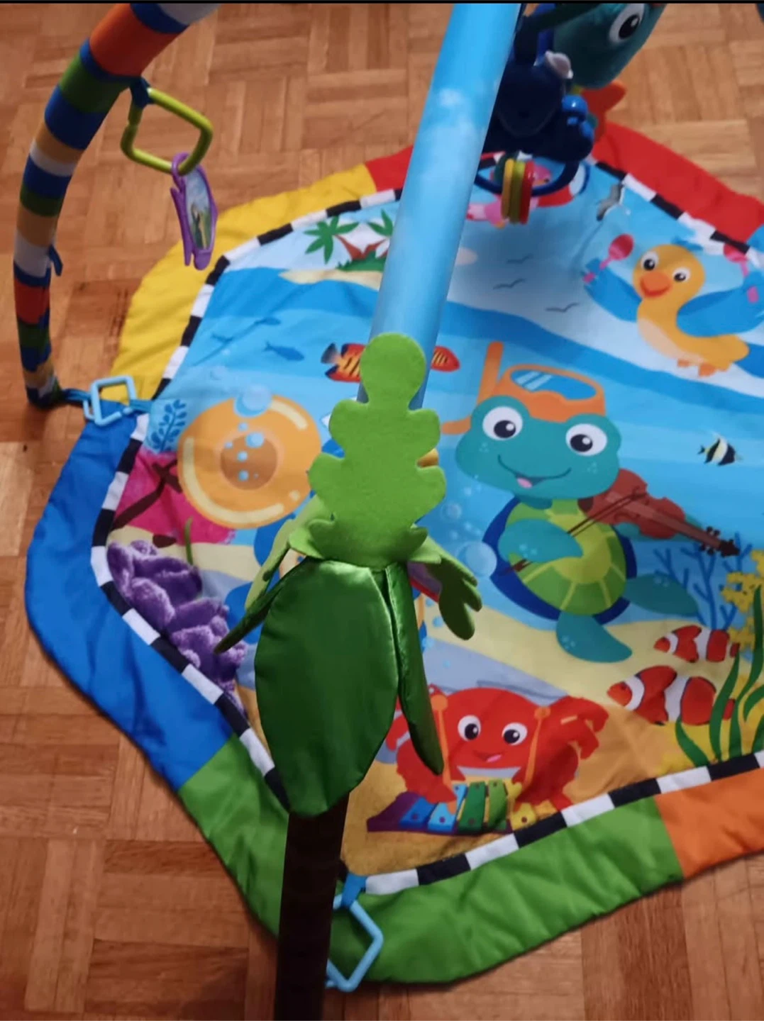 Baby Play Gym Mat