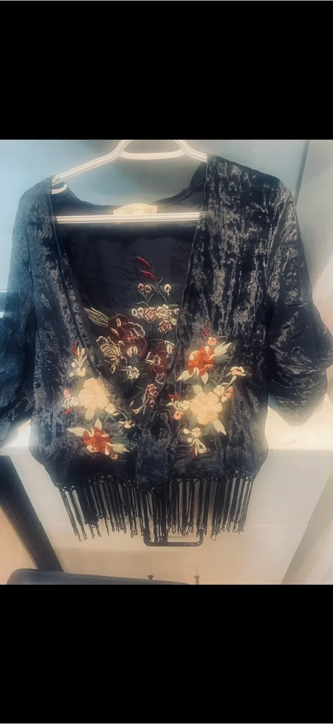 Velvet Embroidered Fringe Top thumbnail