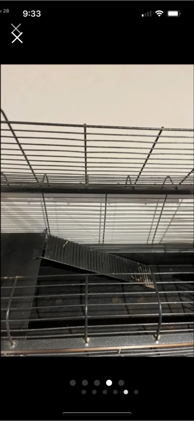 Black Metal SmallAnimal Cage - 41" x 39" image indicator(4)