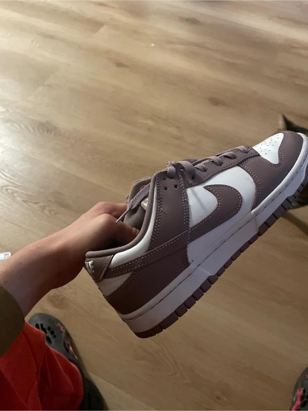 Nike Dunk Low Cacao Wow Shoes image indicator(2)