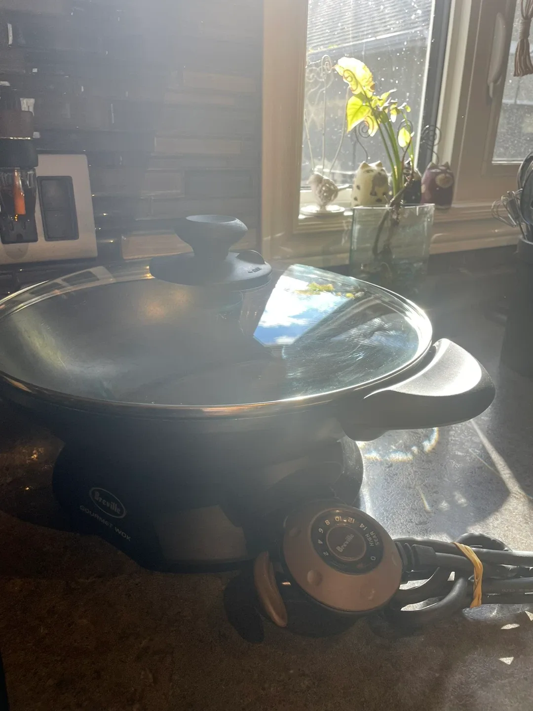 Breville Gourmet Wok image indicator(2)