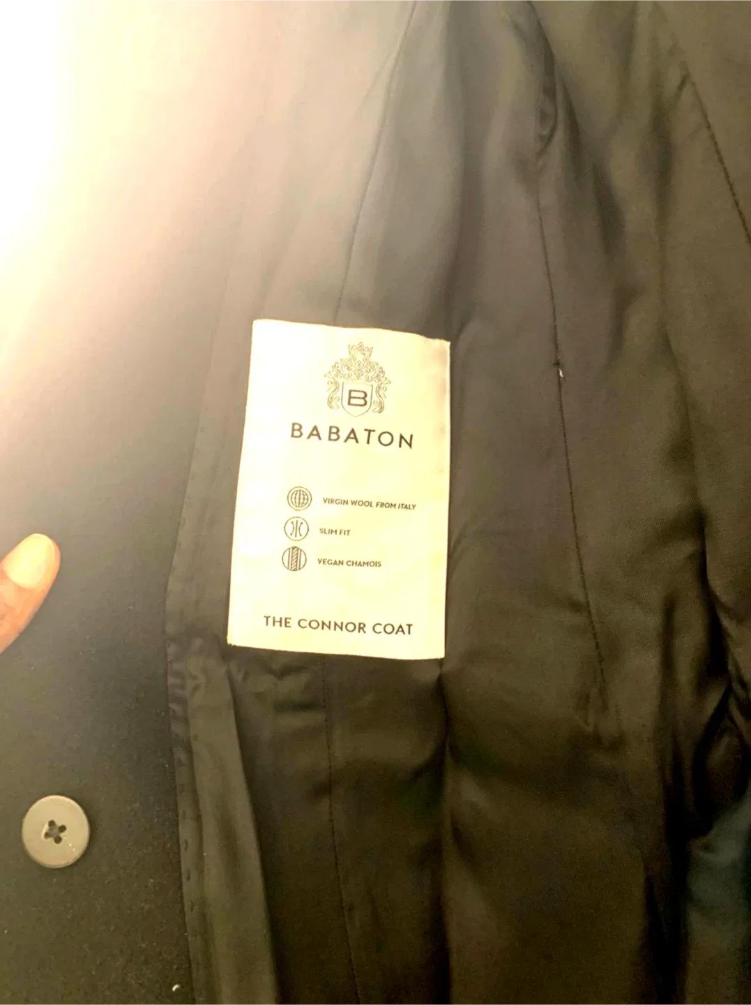 Babaton Connor Coat - Virgin Wool, Slim Fit image indicator(4)