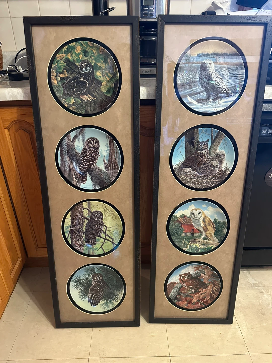 Framed Owl Plate Collection Art